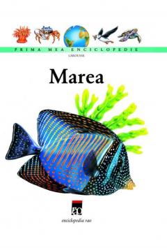 Marea - Larousse