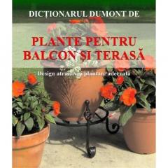 Plante Pentru Balcon Si Terasa