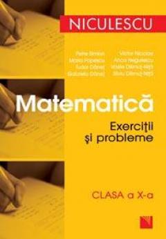 Matematica. Exercitii si probleme, clasa a X-a