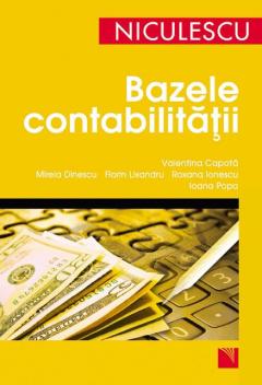 Bazele contabilitatii