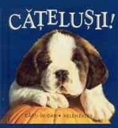 Catelusii
