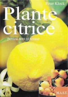 Plante citrice