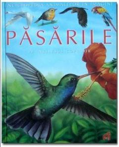 Pasarile Pe Intelesul Copiilor