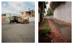 Gregory Halpern: Let the Sun Beheaded Be