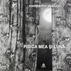 Pisica mea si luna