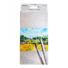 Set 12 creioane acuarelabile si pensula - Raffine