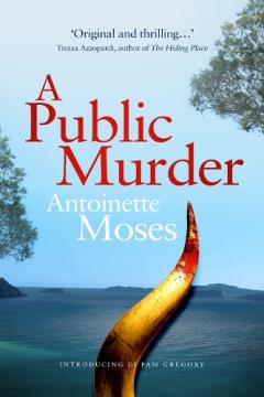 Coperta cărții PUBLIC MURDER