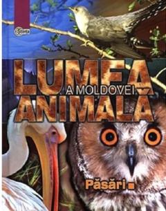 Lumea animala a Moldovei. Pasari