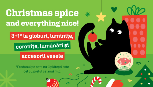<span class='md-headline'><a href='/offer/6190' title='Deco Crăciun 3+1'>Deco Crăciun 3+1</a></span>